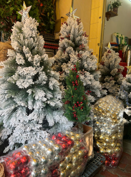 batnhuatrangtrithanhhai