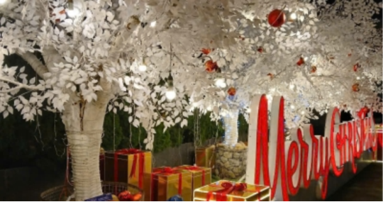 Phụ kiện trang trí cây thông Noel ngoài trời siêu lớn ấn tượng