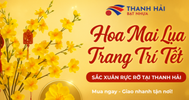 Hoa Mai Lụa Trang Trí Tết – Sắc Xuân Rực Rỡ Tại Thanh Hải